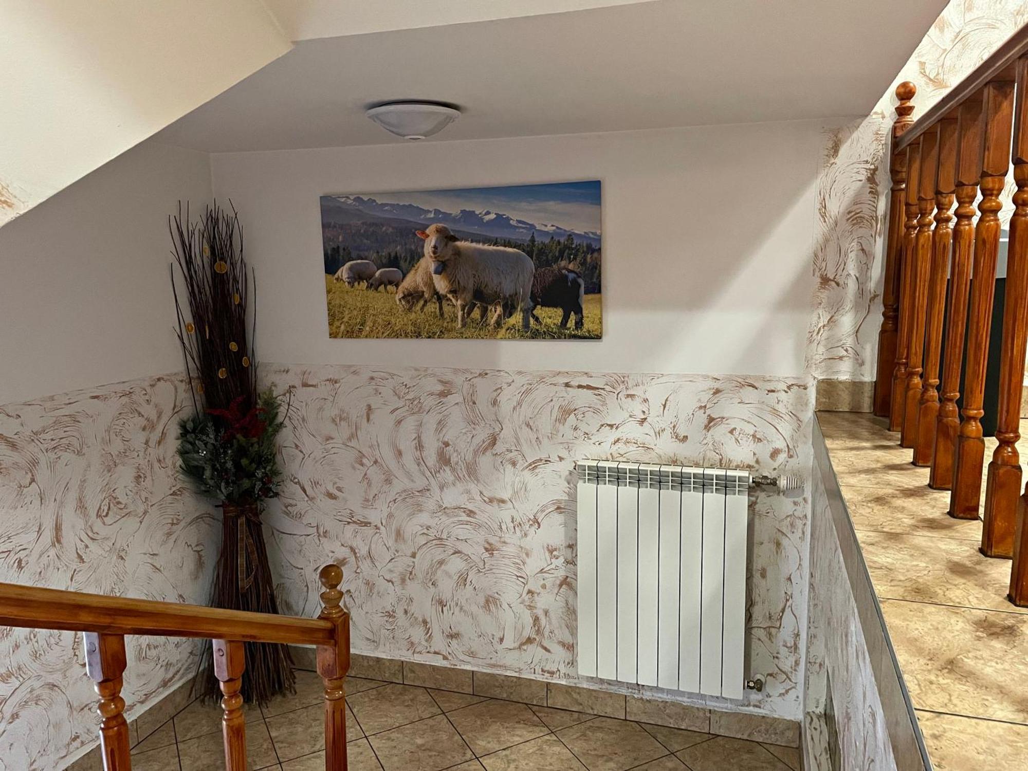 D.W. Tatra House Bed & Breakfast Zakopane Exterior foto